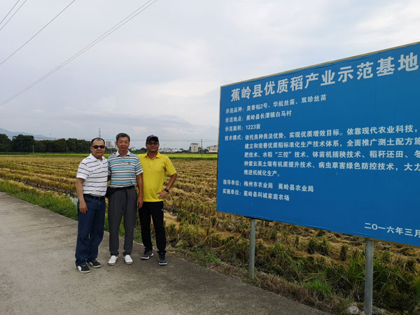 种植基地——蕉岭育秧基地